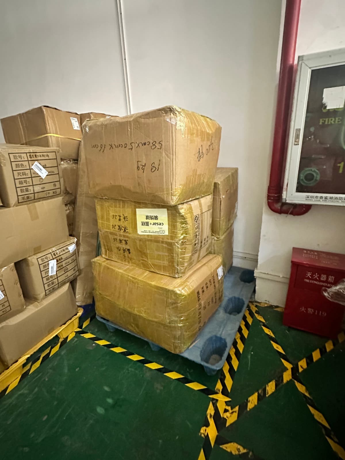 Importación completada exitosamente
